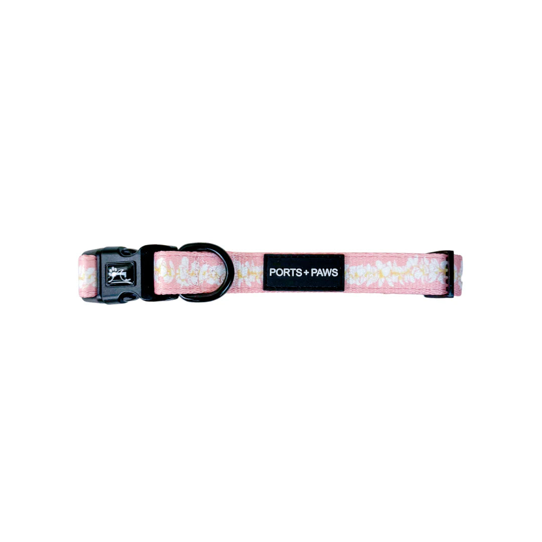 PORTS + PAWS  COLLAR - PLUMERIA