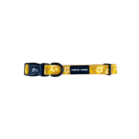 PORTS + PAWS  COLLAR - OʻAHU ʻILIMA