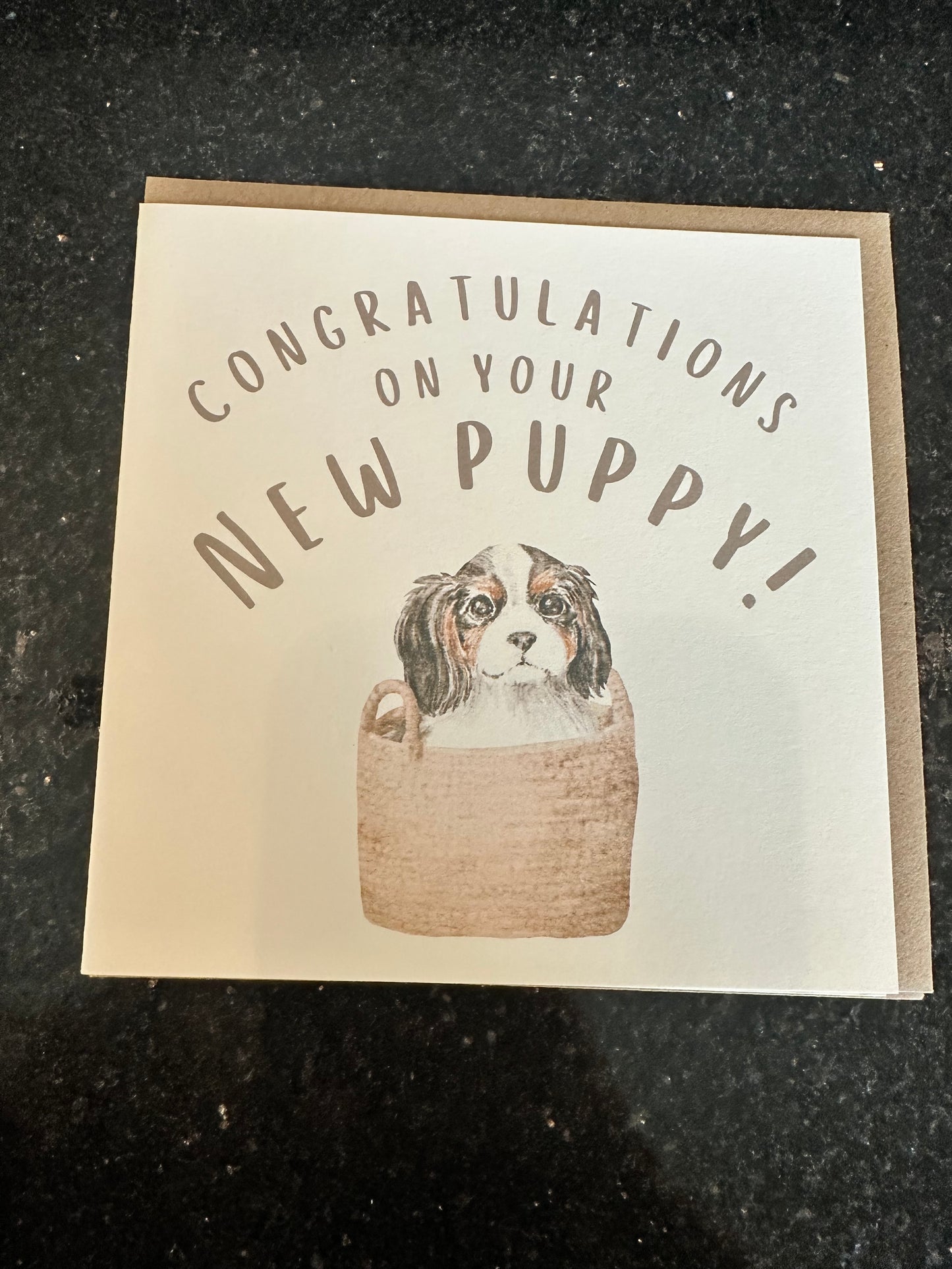 Annie Moon Greeting Cards