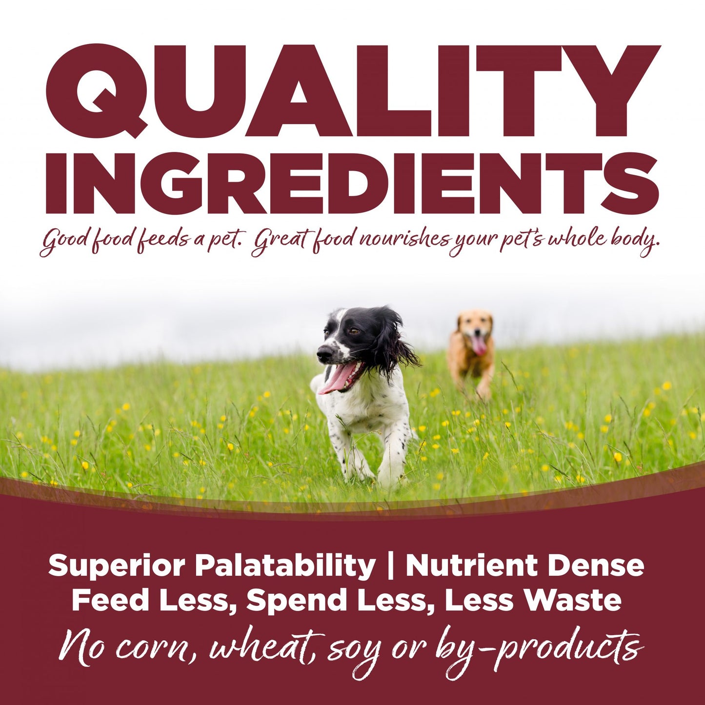 NutriSource Beef & Rice Recipe Wet Dog Food Can, 12.3-oz