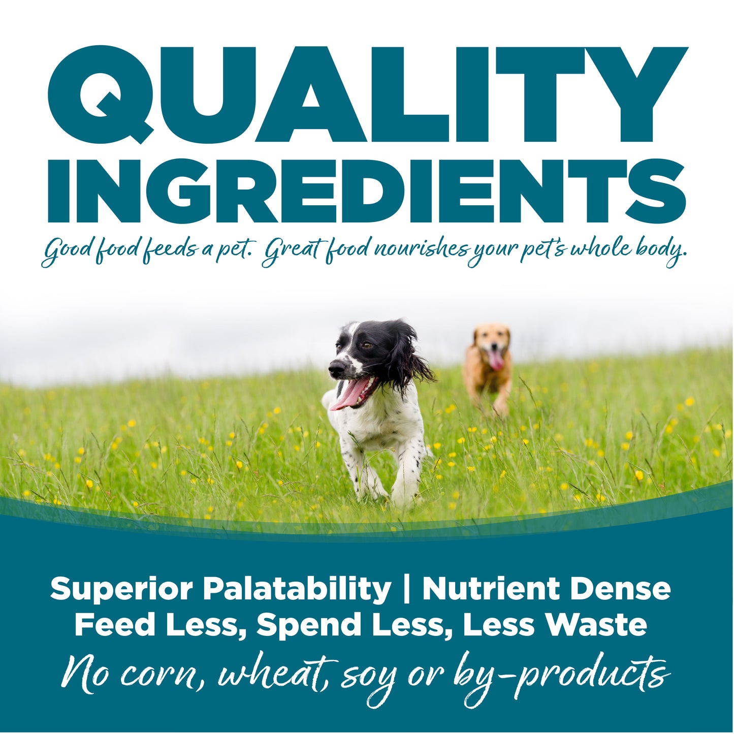 NutriSource Adult Chicken and Rice Canned Dog Food, 12.3-oz (Size: 12.3-oz)