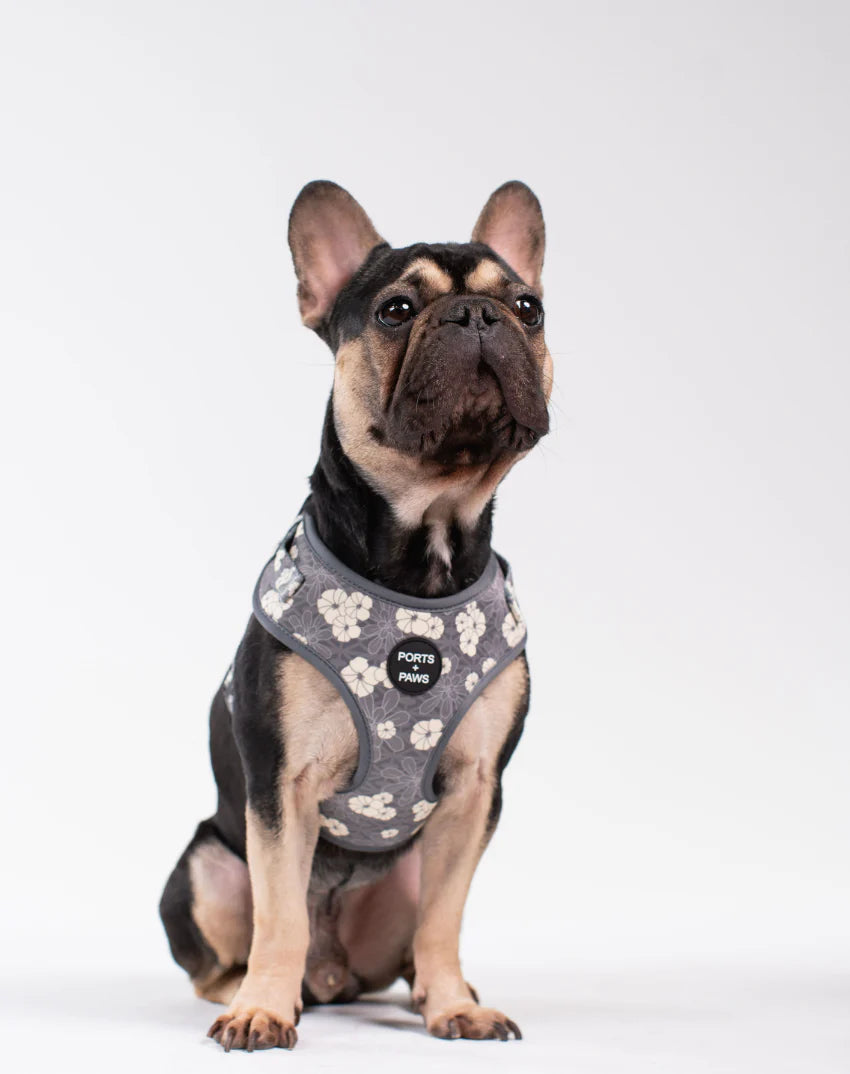 PORTS + PAWS  ADJUSTABLE HARNESS - KAHOʻOLAWE HINAHINA