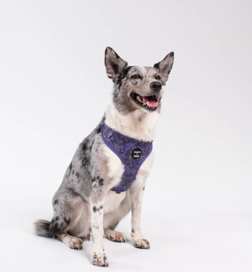PORTS + PAWS  ADJUSTABLE HARNESS - KAUAʻI MOKIHANA BERRY
