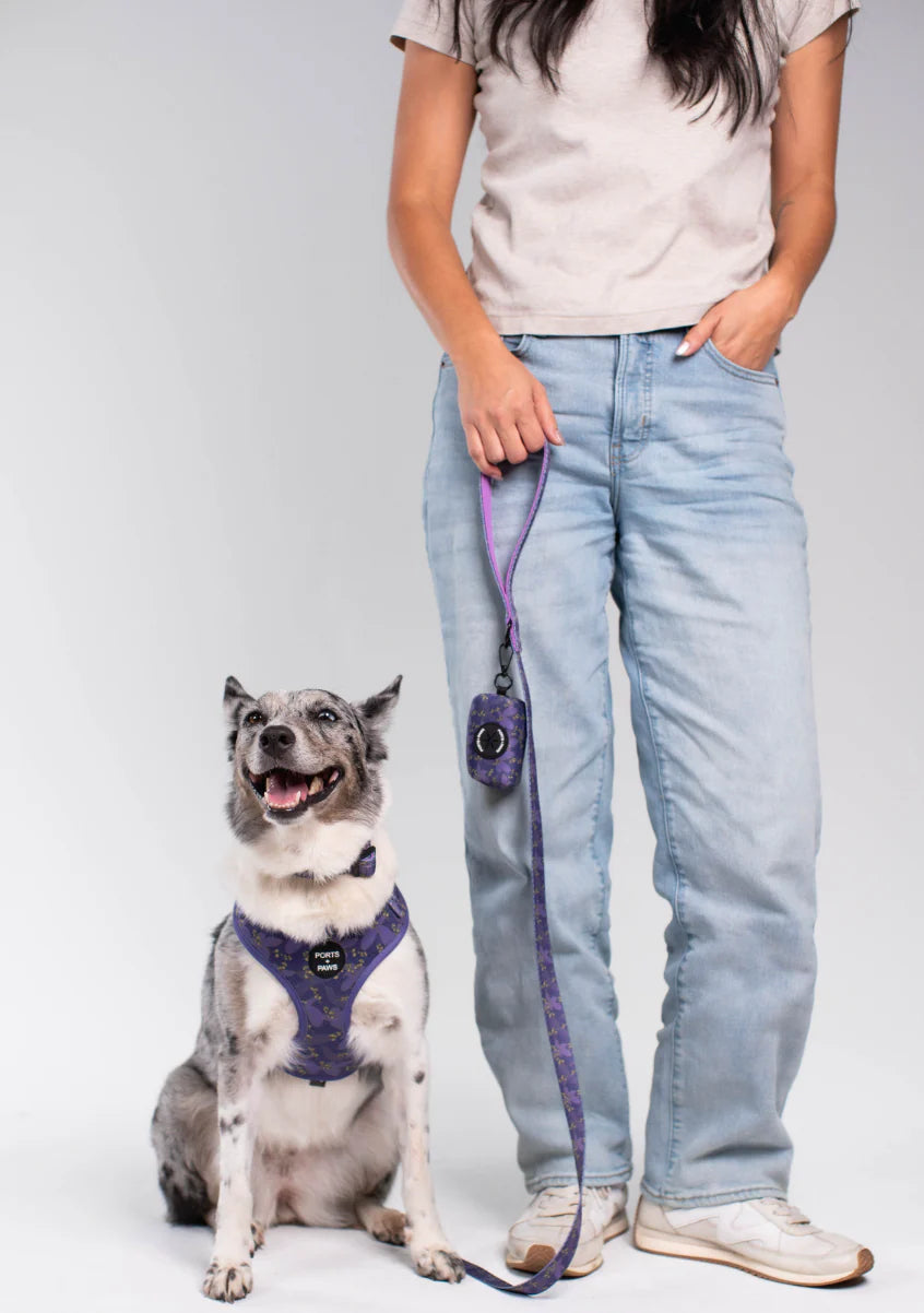 PORTS + PAWS  LEASH - KAUAʻI MOKIHANA BERRY