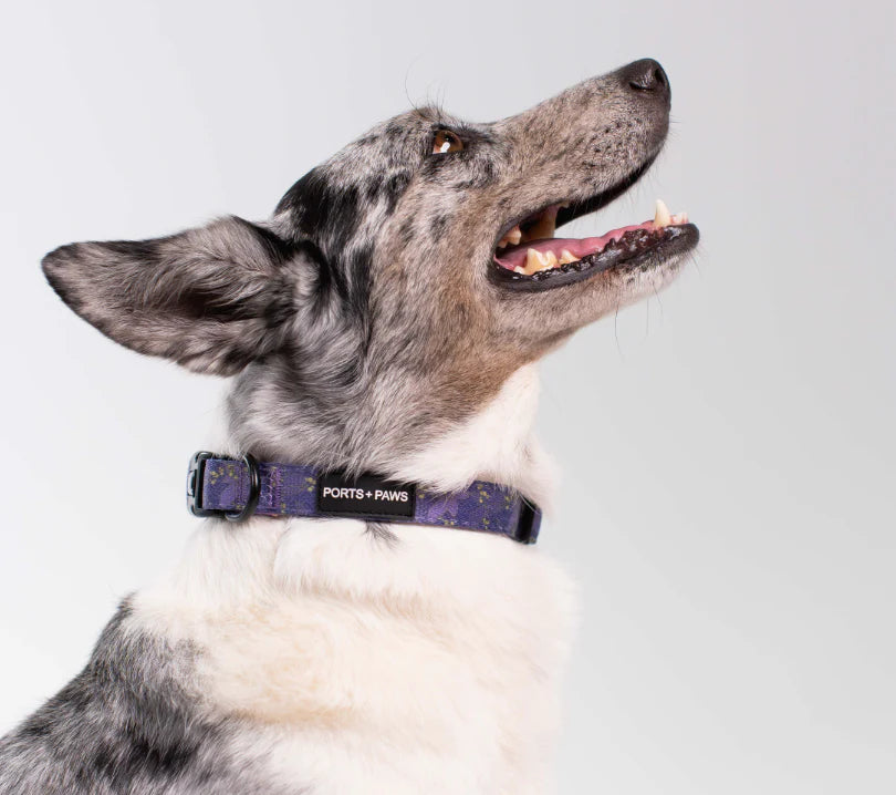 PORTS + PAWS  COLLAR - KAUAʻI MOKIHANA BERRY