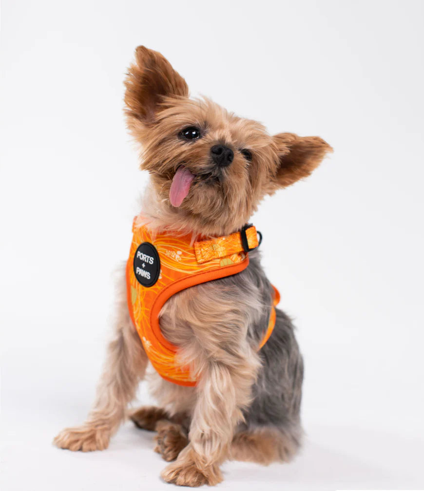 PORTS + PAWS  ADJUSTABLE HARNESS - LĀNAʻI KAUNAʻOA