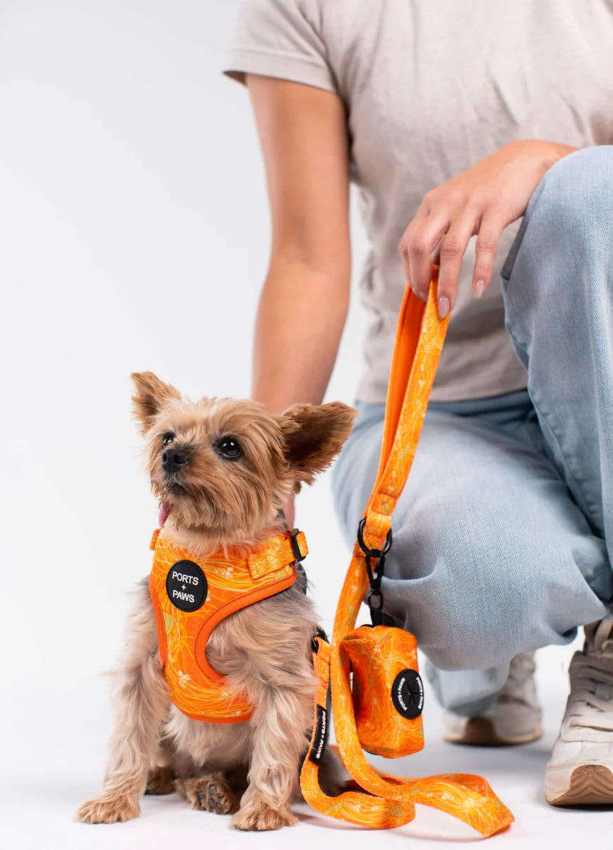 PORTS + PAWS  LEASH - LĀNAʻI KAUNAʻOA