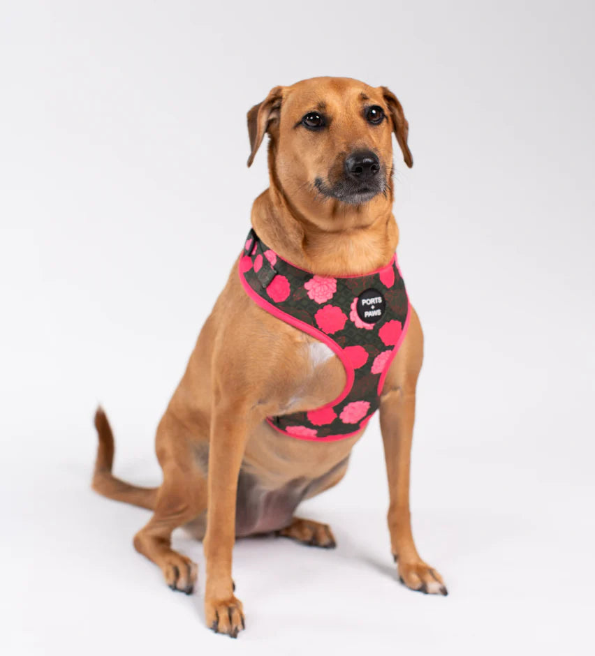 PORTS + PAWS  ADJUSTABLE HARNESS - MAUI LOKELANI ROSE
