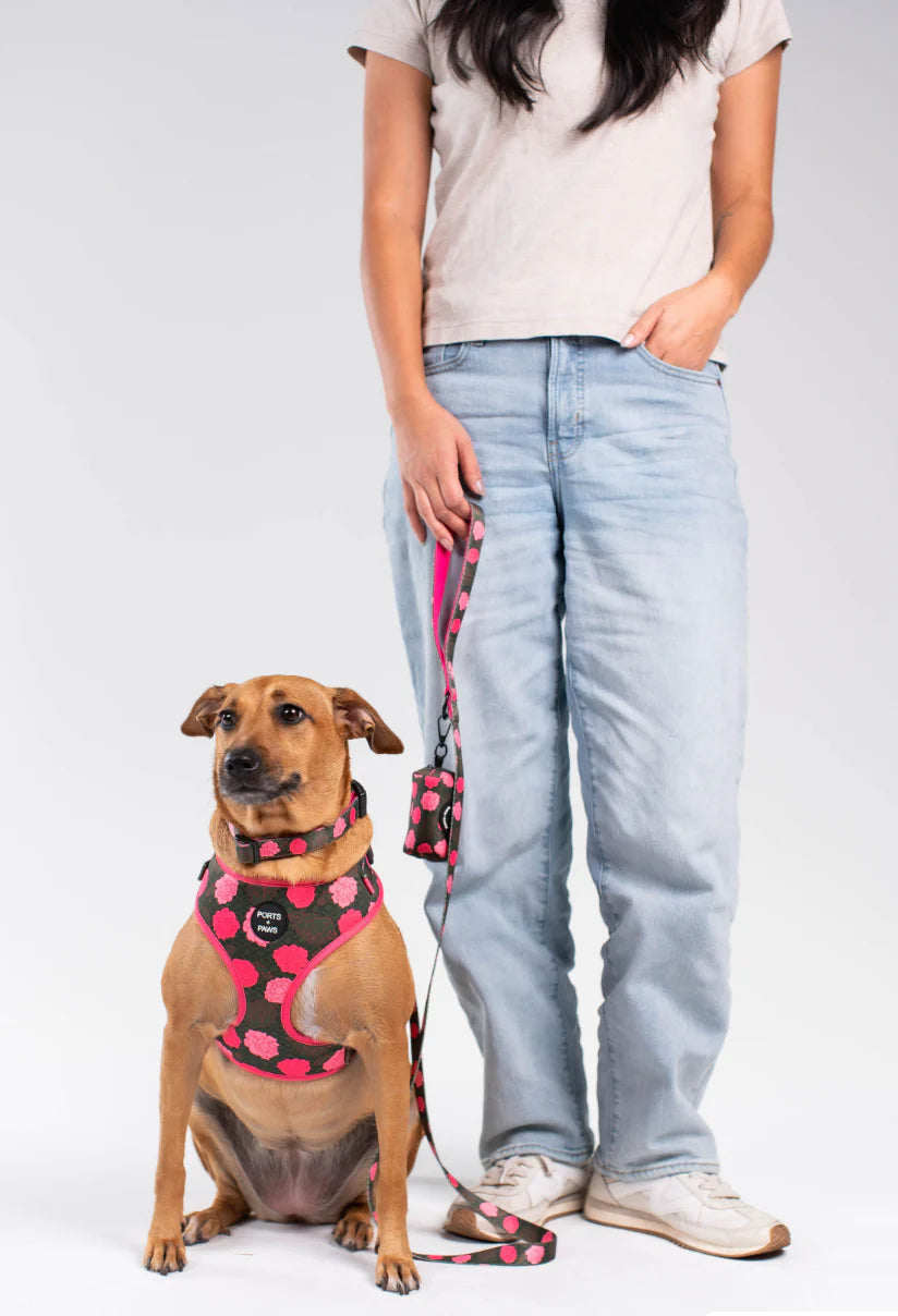 PORTS + PAWS  LEASH - MAUI LOKELANI ROSE