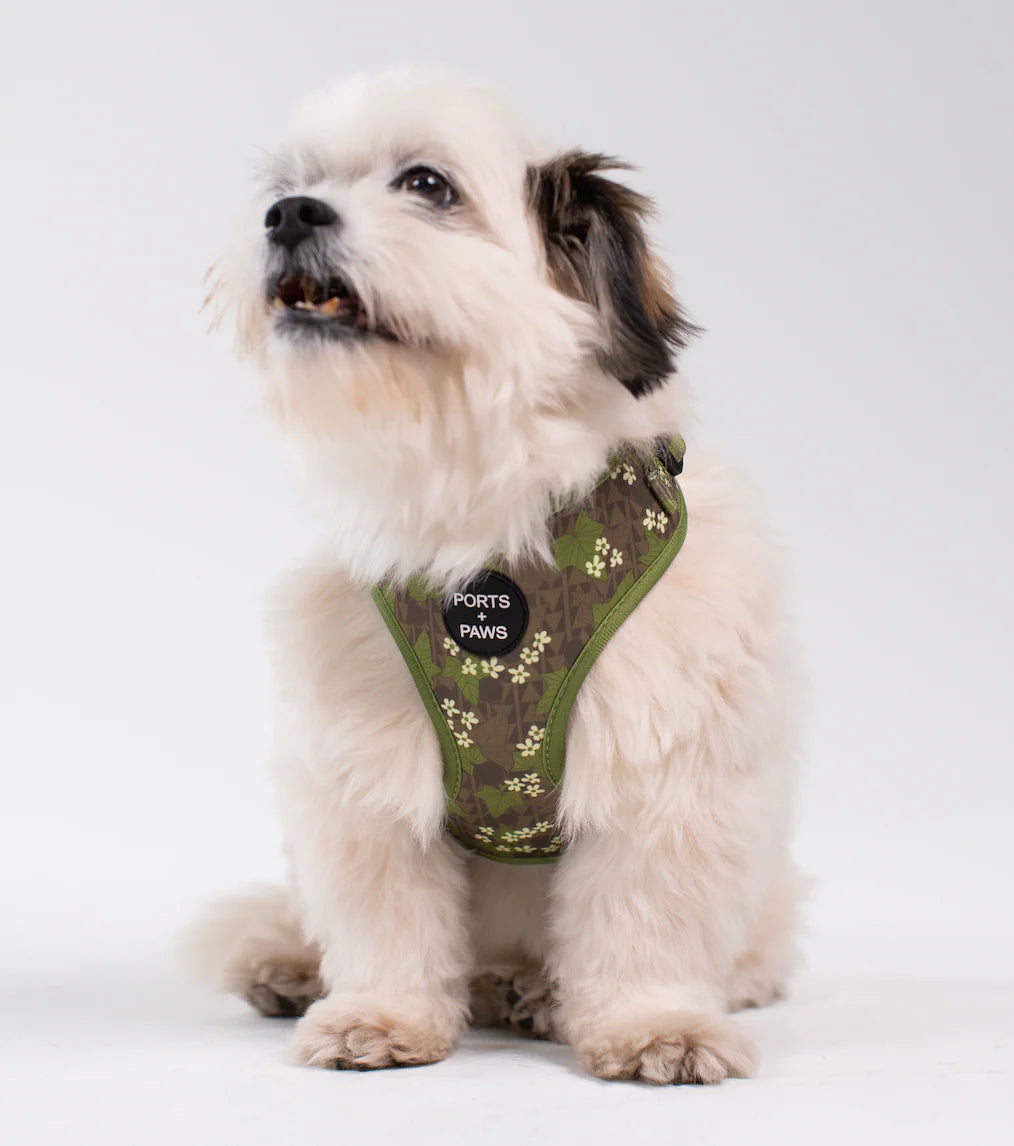 PORTS + PAWS  ADJUSTABLE HARNESS - MOLOKAʻI PUA KUKUI NUT