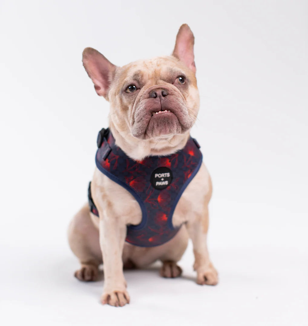 Ports+Paws-ADJUSTABLE HARNESS - HAWAIʻI ISLAND ʻŌHIʻA LEHUA
