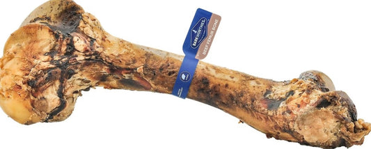 Barkworthies Beef Femur Bone Dog Treats