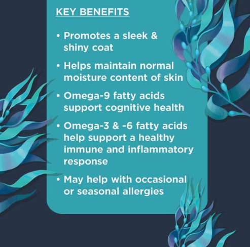 Nulo Omega Skin & Coat Soft Chews Dog Supplement, 90-count (Size: 90-count)