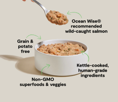 Open Farm Wild-Caught Salmon Rustic Stew Wet Dog Food