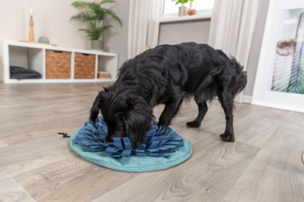 TRIXIE DOG ACTIVITY SNUFFLE BOWL