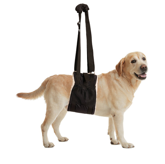 BuddyLift - Canine Support and Rehabilitation Sling: Medium/Large