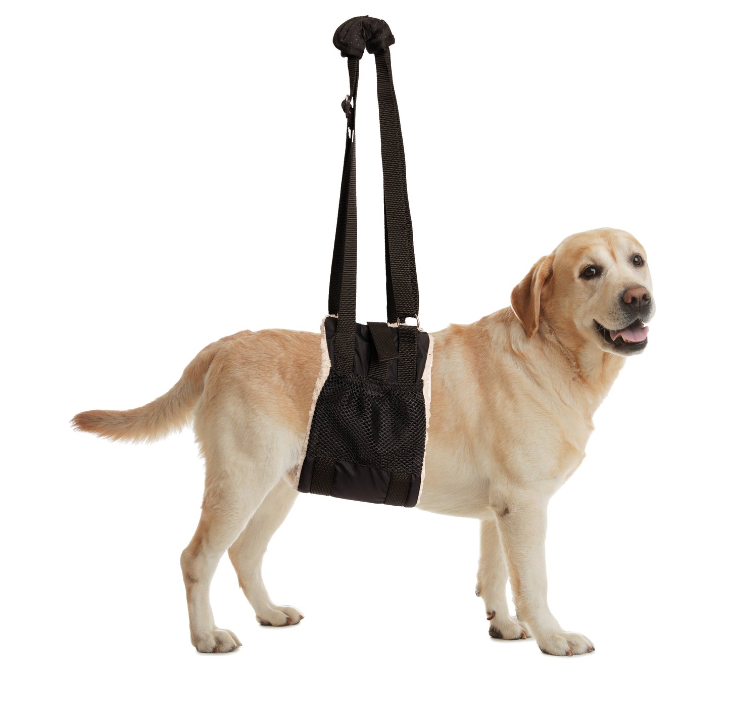 BuddyLift - Canine Support and Rehabilitation Sling: Large/XLarge