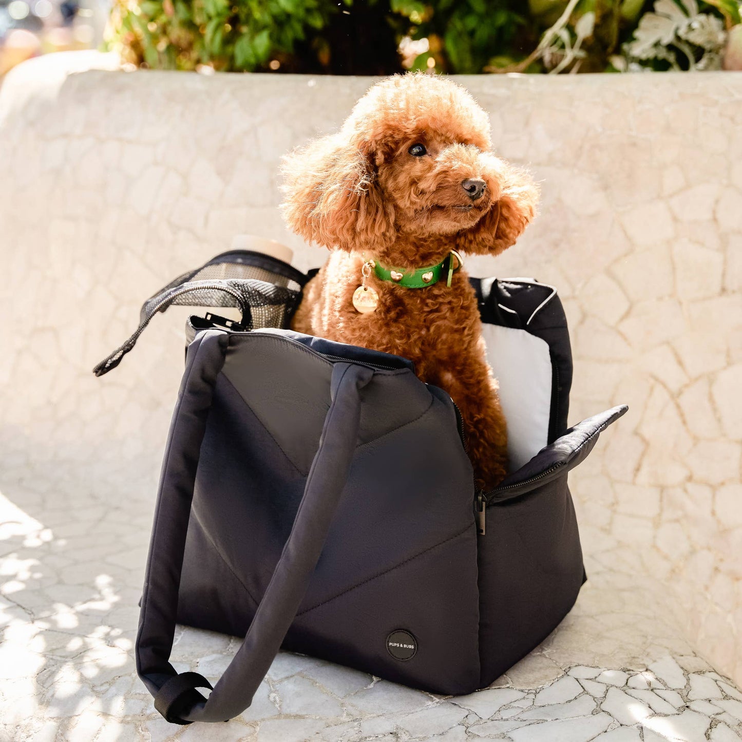 Destination Pet Carrier Tote: Black