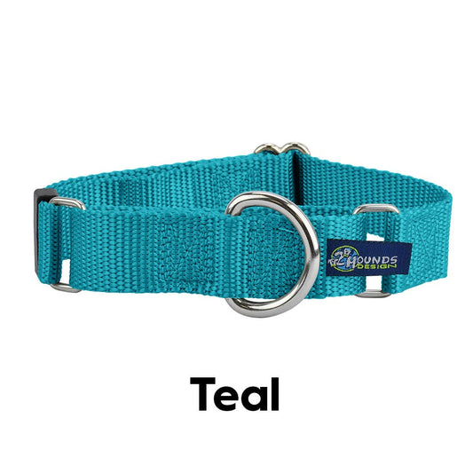 5/8" and 1" Martingale Nylon Dog Collar: 1" X-Large / Teal