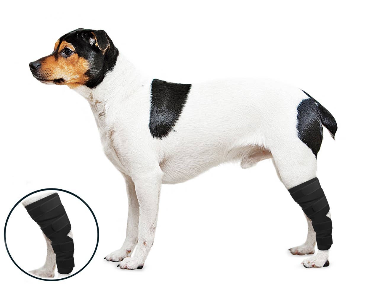 OrthoWrap Hock Protector: Medium