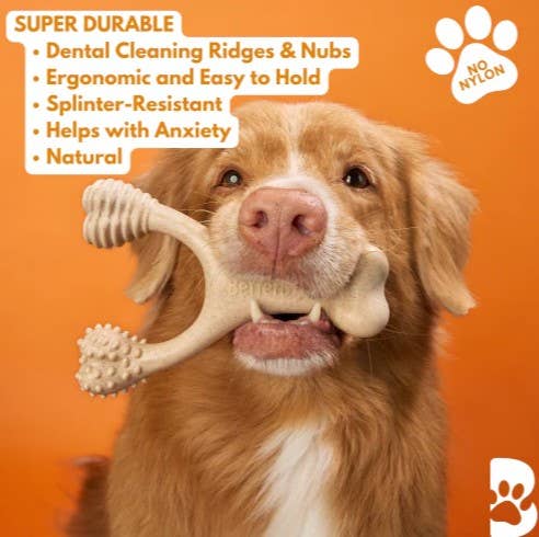 BetterBone Hard Beef Dog Chew Toy Small