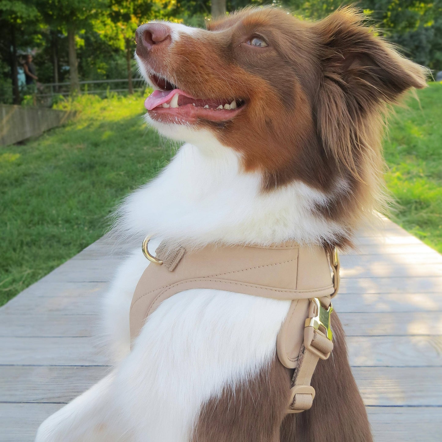 Roam Luxe Harness (Desert) | Dog Walking Gear | Dog Harness: Small