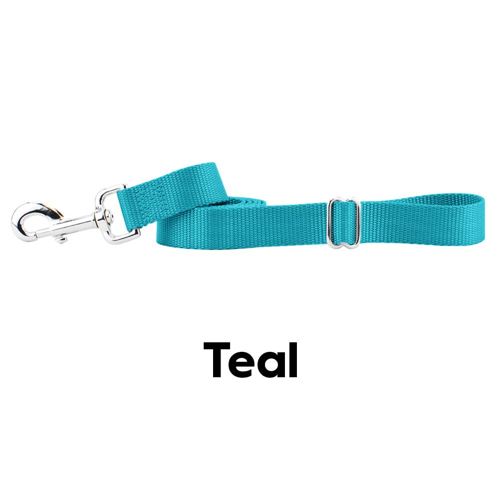 5/8" and 1" Premium Nylon Dog Leash - 6': Black / 1 Inch