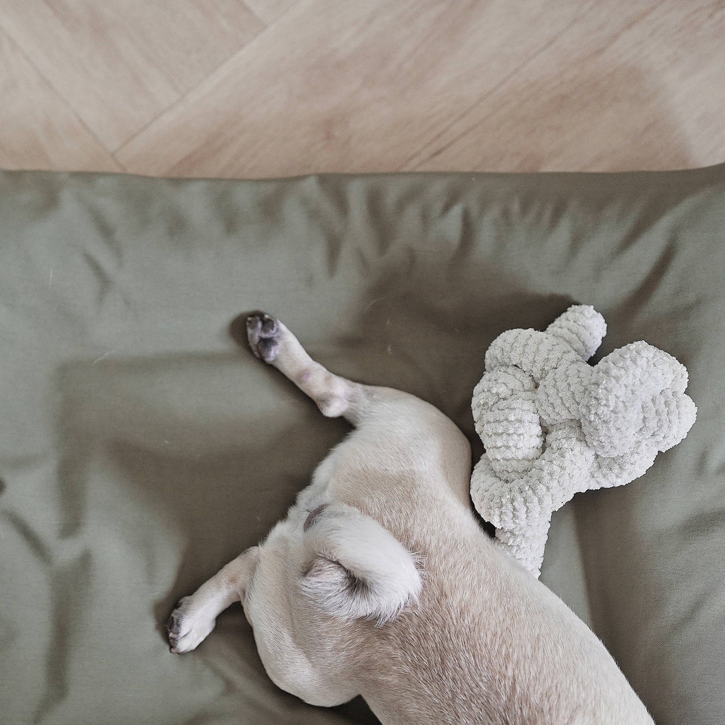NOU | squeakers//ENRICHMENT DOG TOY: Cream
