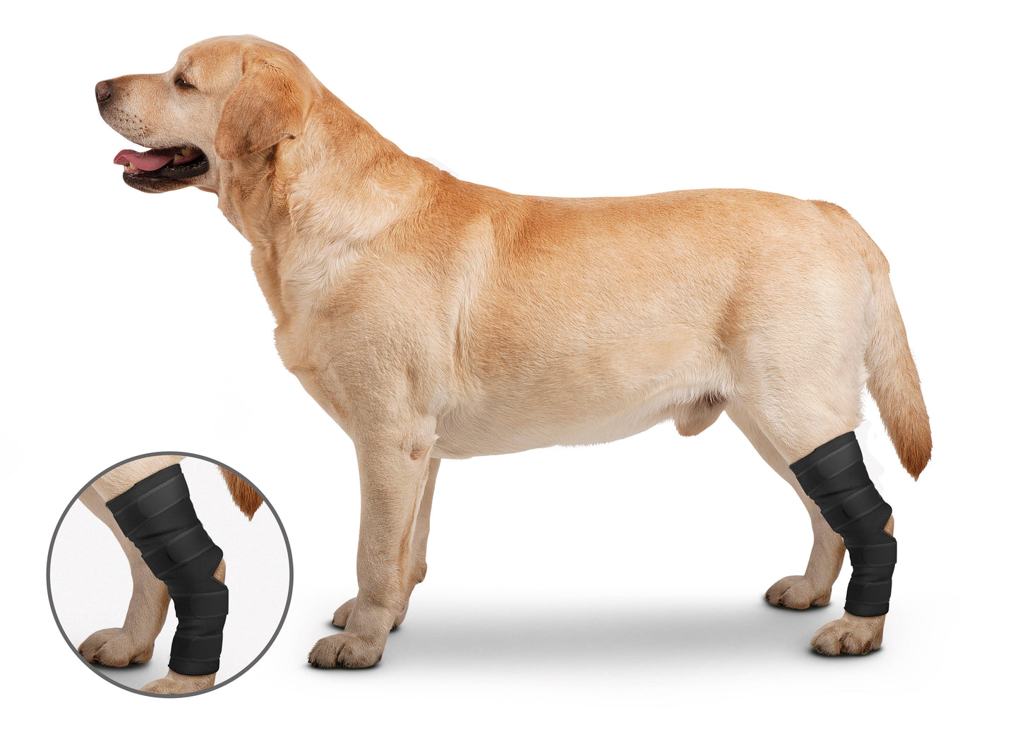 OrthoWrap Hock Protector: Medium