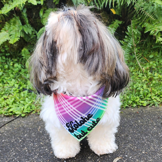 GigiWhy Pet Scrunch Bandana- Shave Ice/Kolohe Rainbow Palaka: X Small