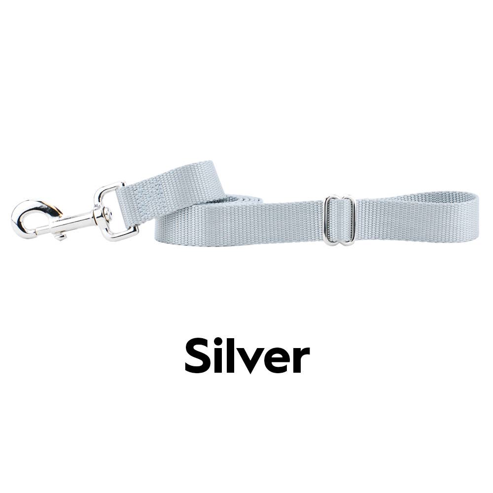 5/8" and 1" Premium Nylon Dog Leash - 6': Teal / 1 Inch