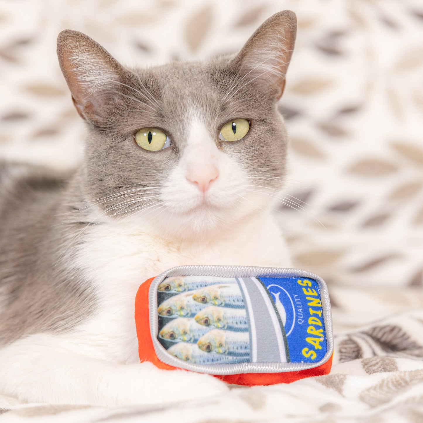 Sardine Tin Cat Toy: One Size