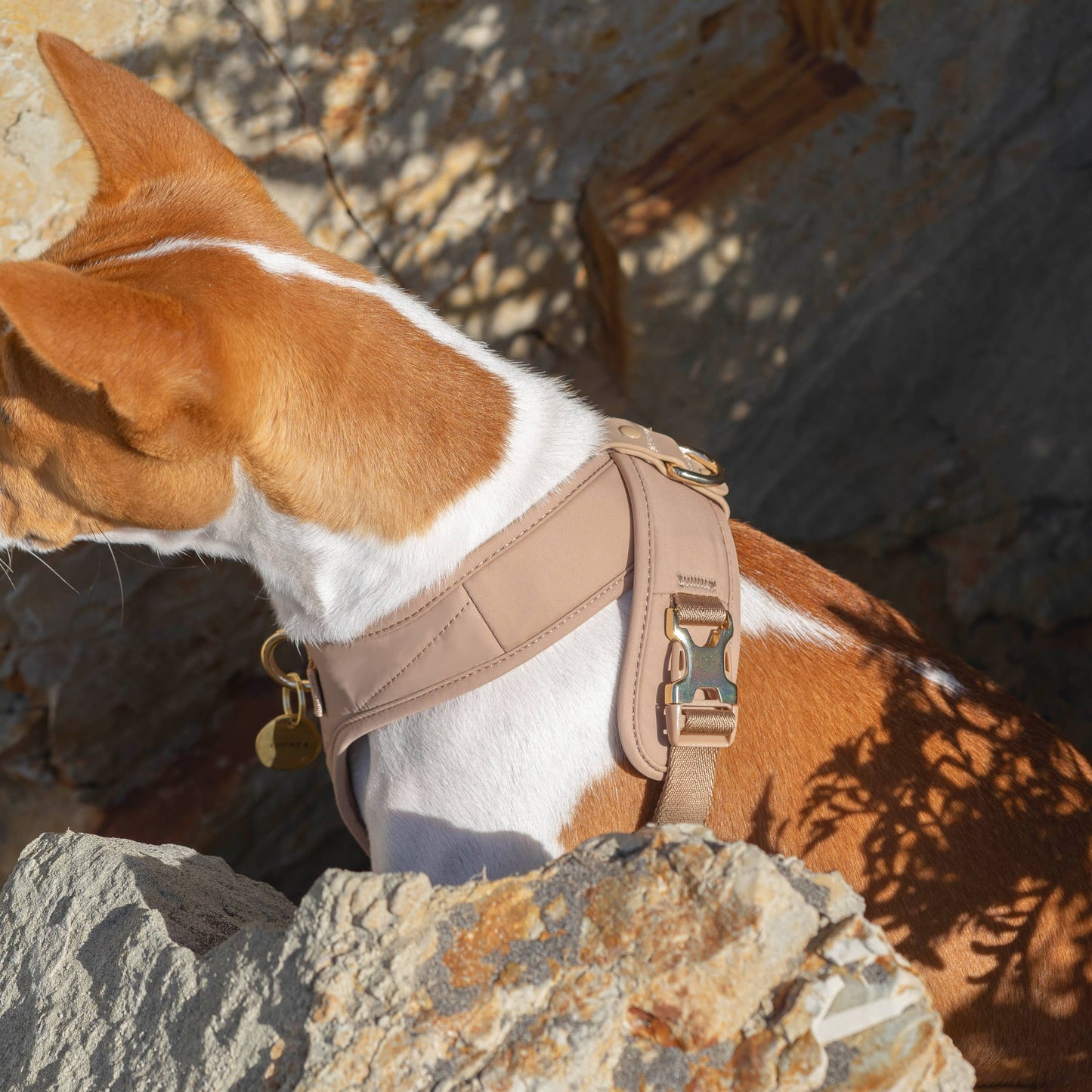 Roam Luxe Harness (Desert) | Dog Walking Gear | Dog Harness: Small