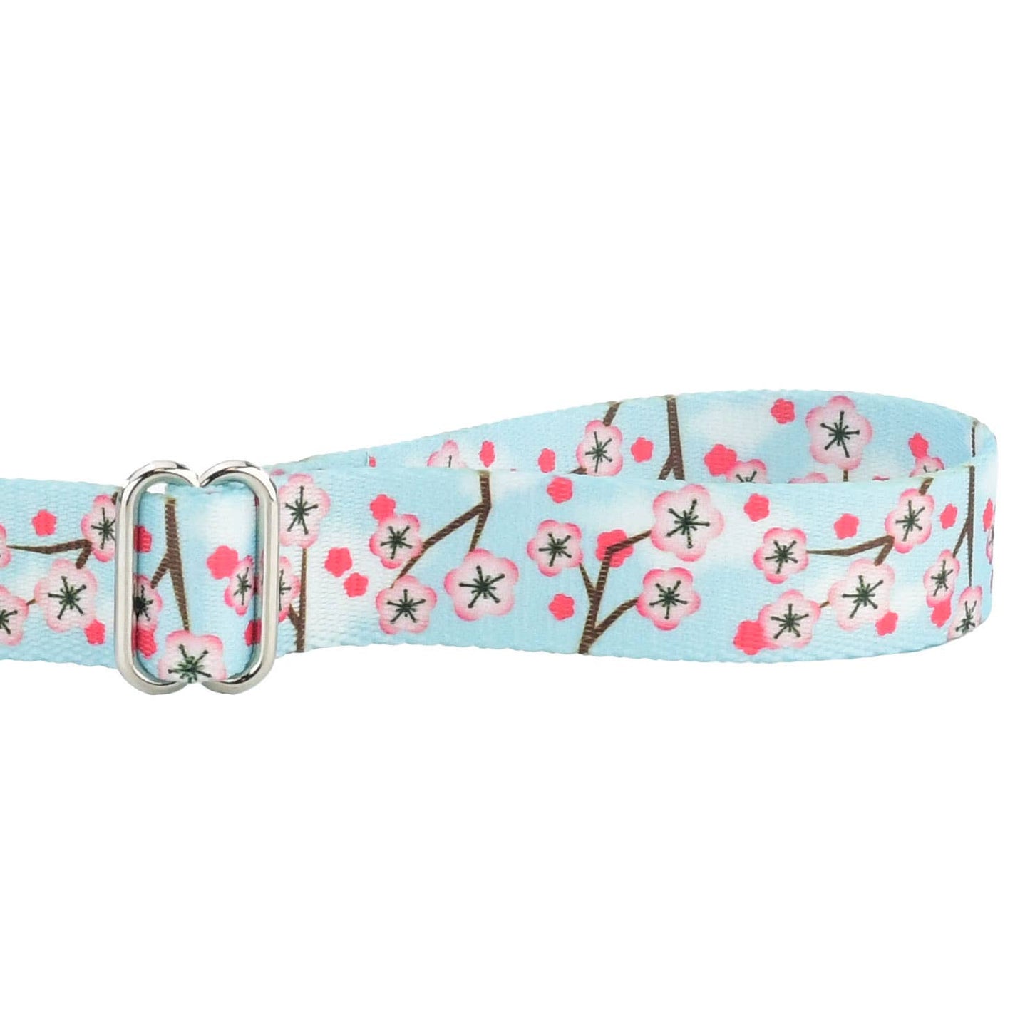 1″ EarthStyle Cherry Blossoms Dog Collar: XX Large (26 - 34 inches) / Side Release Dog Collar / 6' Leash