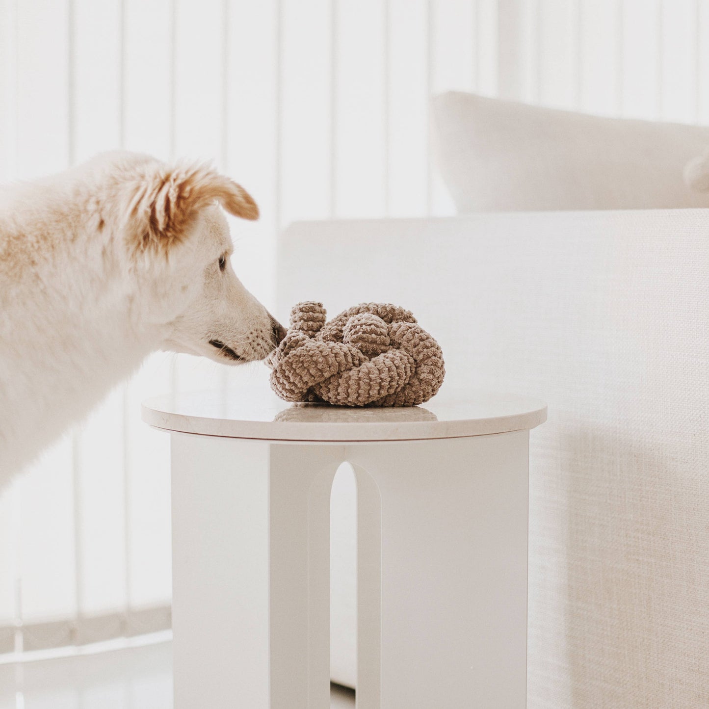 NOU | squeakers//ENRICHMENT DOG TOY: Cream