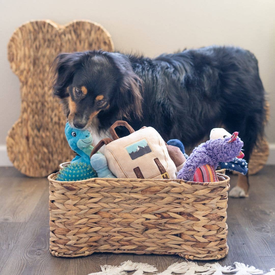 Loxley Pet Storage Basket: Large / Black