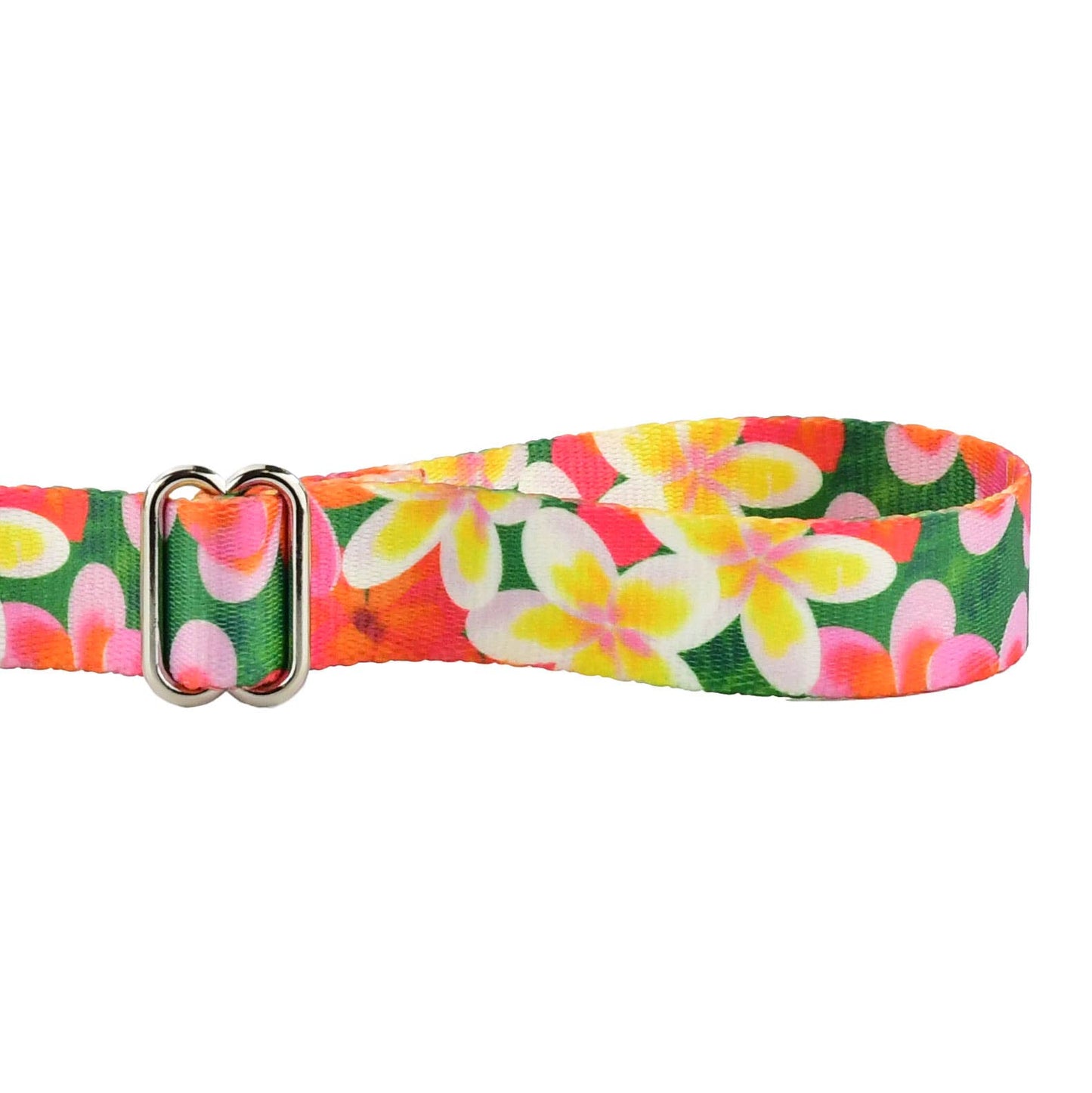 1.5″ EarthStyle Aloha Dog Collar: XX Large (26 - 34 inches) / Side Release Dog Collar / 6' Leash