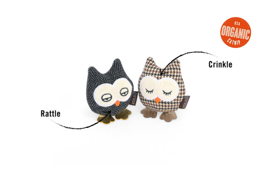 Feline Frenzy - Hooti-ful Owls