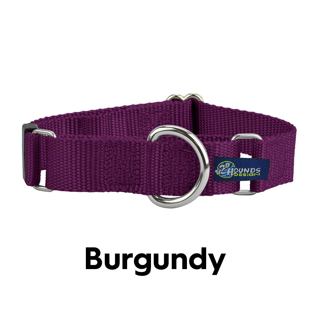 5/8" and 1" Martingale Nylon Dog Collar: 1" XX-Large / Tan