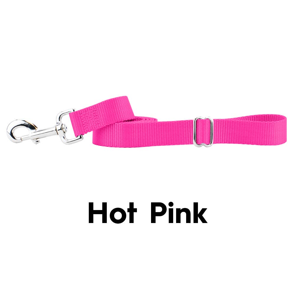 5/8" and 1" Premium Nylon Dog Leash - 6': Black / 1 Inch
