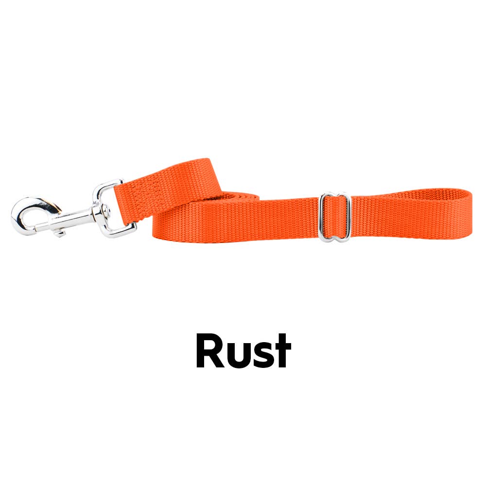 5/8" and 1" Premium Nylon Dog Leash - 6': Teal / 1 Inch