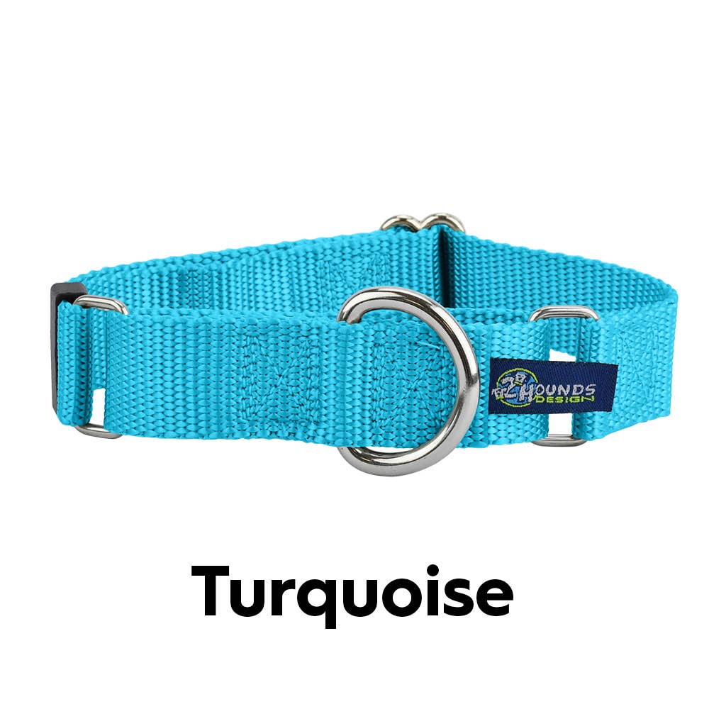 5/8" and 1" Martingale Nylon Dog Collar: 1" XX-Large / Teal