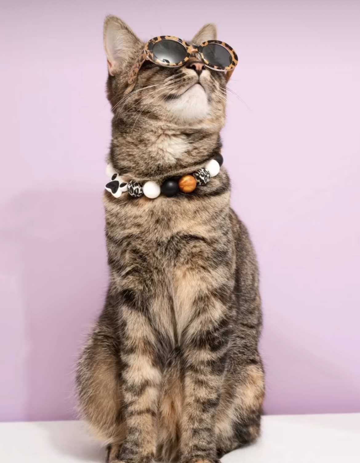 Wild Thing | Beaded Dog Necklace: 9"
