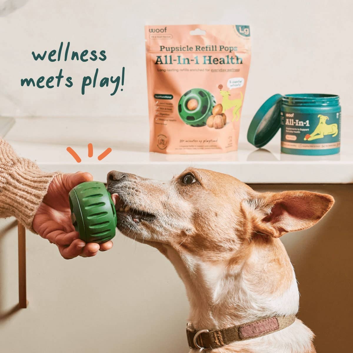 All-in-1 Wellness Pops: Small