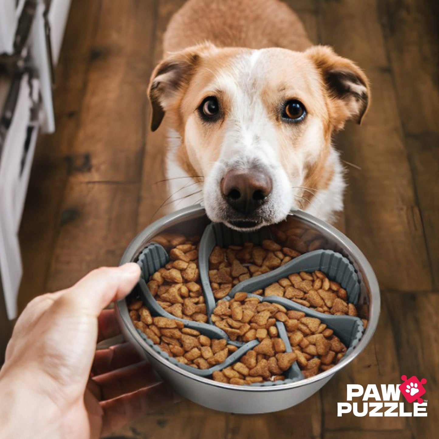Paw Puzzle Slow Feeder Dog Bowl Insert: Universal Large - 8"