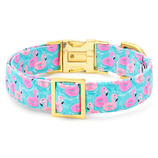 The Foggy Dog- Float-mingo Summer Dog Collar