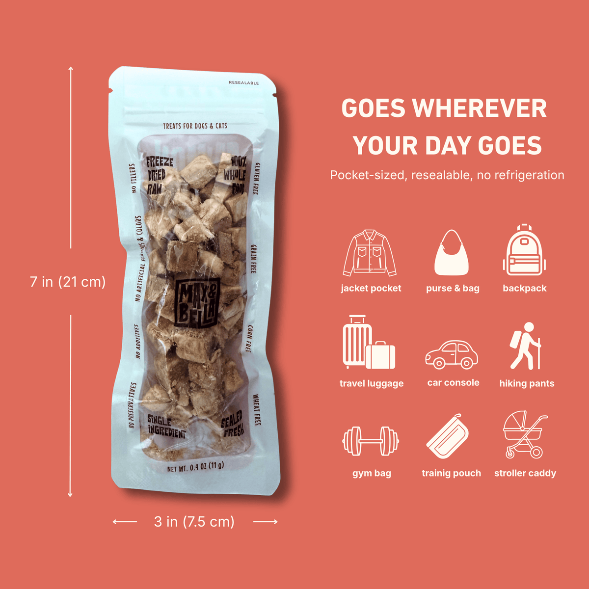 Freeze-Dried Salmon Treats for Dogs & Cats — Single Ingredient, Grab-and-Go Packs: 10-PACK