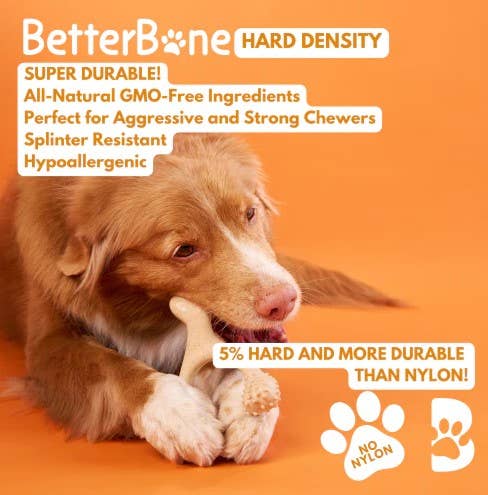 BetterBone Hard Classic Dog Chew Toy Small