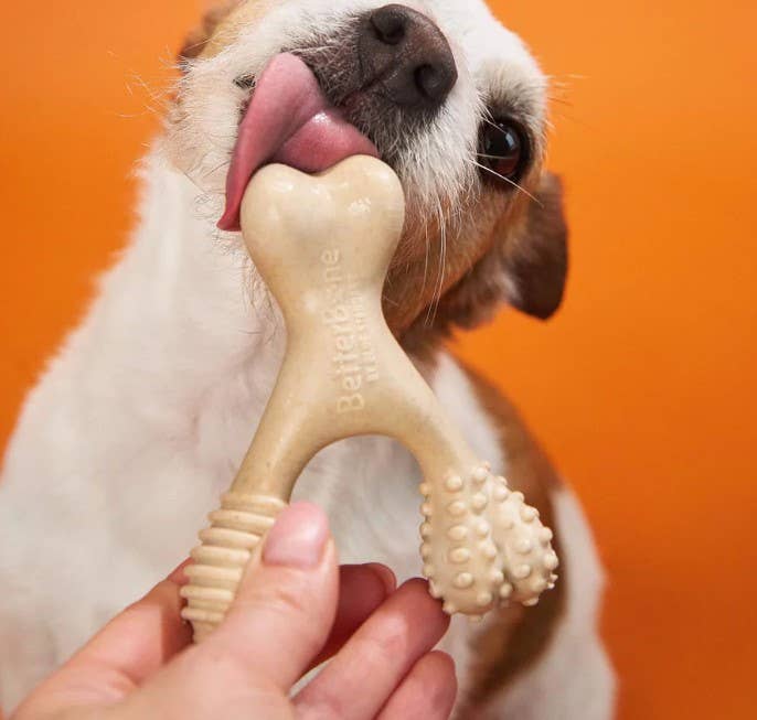 BetterBone Soft Beef Dog Chew Toy Small