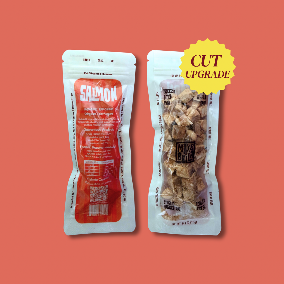 Freeze-Dried Salmon Treats for Dogs & Cats — Single Ingredient, Grab-and-Go Packs: 10-PACK